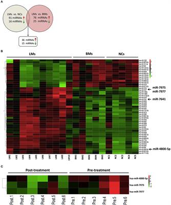 Identification of Cerebrospinal Fluid MicroRNAs Associated With Leptomeningeal Metastasis From Lung Adenocarcinoma